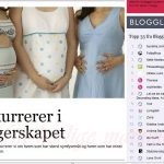 Hjemmelaget sviskemos og sviskesaft