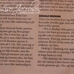 Hjemmelaget sviskemos og sviskesaft