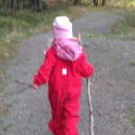 Hjemmelaget sviskemos og sviskesaft