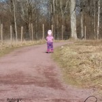 Hjemmelaget sviskemos og sviskesaft
