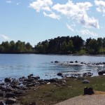 Hjemmelaget sviskemos og sviskesaft