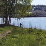 Hjemmelaget sviskemos og sviskesaft