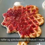 Hjemmelaget sviskemos og sviskesaft