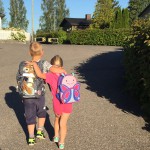Hjemmelaget sviskemos og sviskesaft
