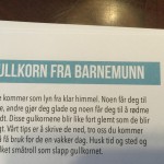 Hjemmelaget sviskemos og sviskesaft