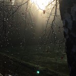 Hjemmelaget sviskemos og sviskesaft