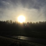 Hjemmelaget sviskemos og sviskesaft