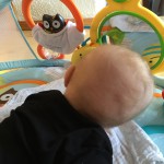 Hjemmelaget sviskemos og sviskesaft